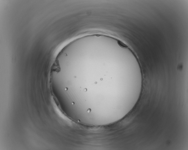 X0000112461535200909071058