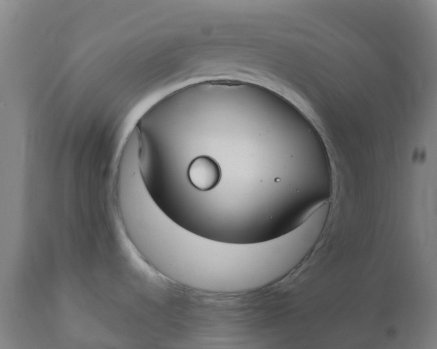 X0000112461536200909071058