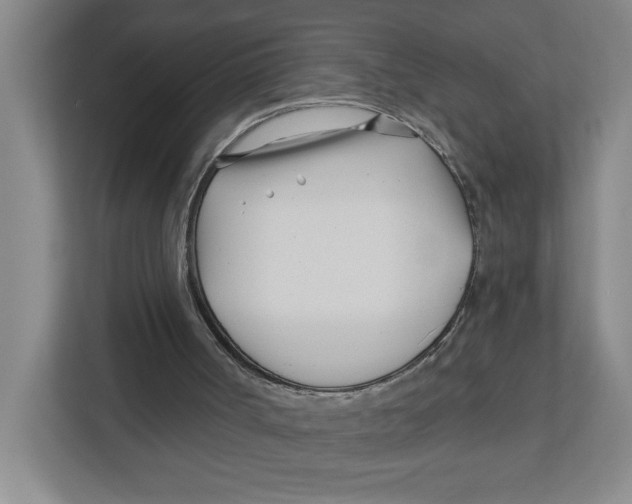 X0000112460002200909141107