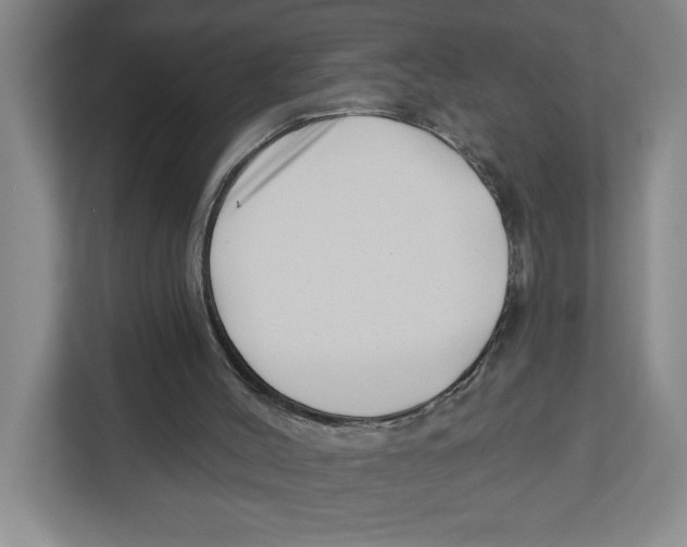 X0000112460004200909141107