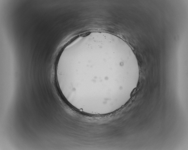 X0000112460005200909141107