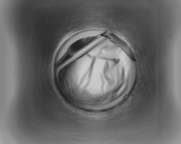 X0000112460008200909141107