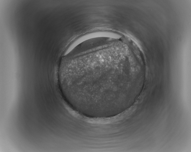 X0000112460009200909141107