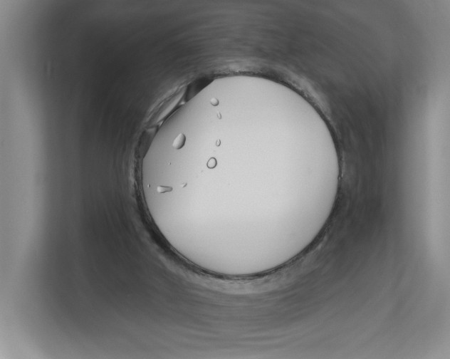X0000112460010200909141107