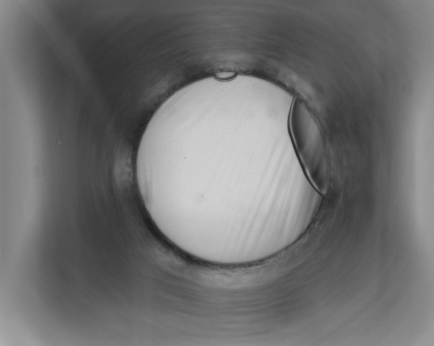 X0000112460017200909141107