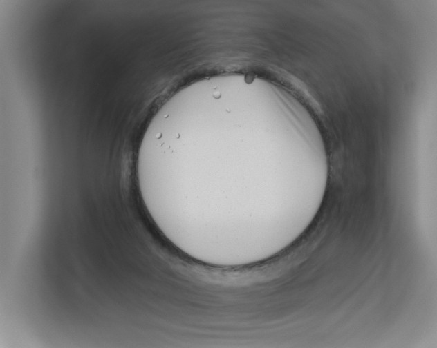 X0000112460018200909141107