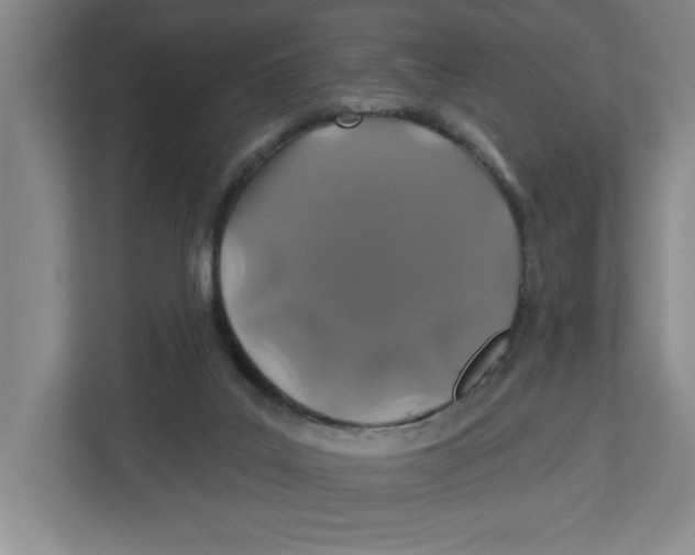 X0000112460019200909141107