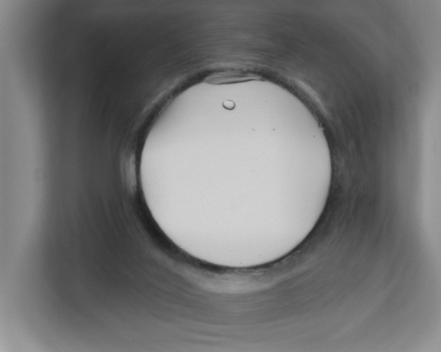 X0000112460020200909141107