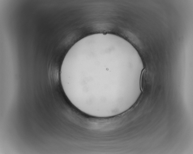 X0000112460021200909141107