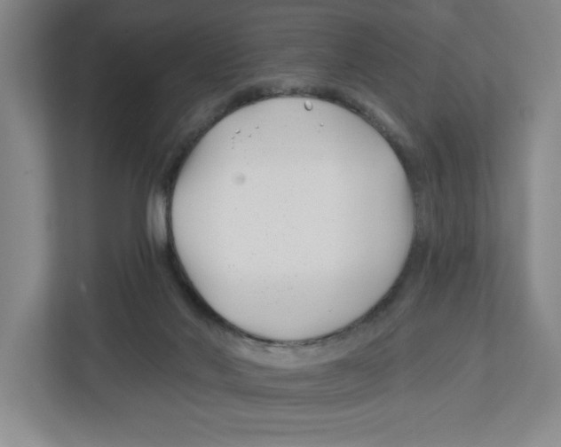 X0000112460022200909141107