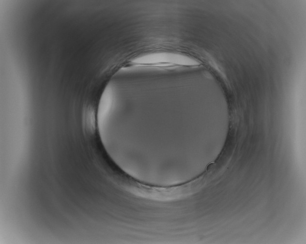 X0000112460027200909141107
