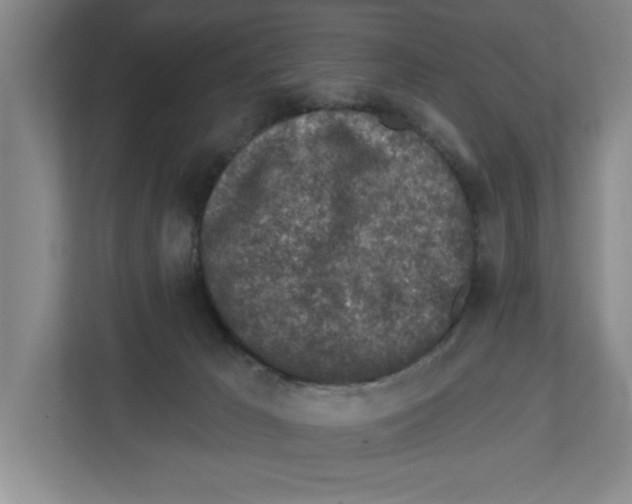 X0000112460029200909141107