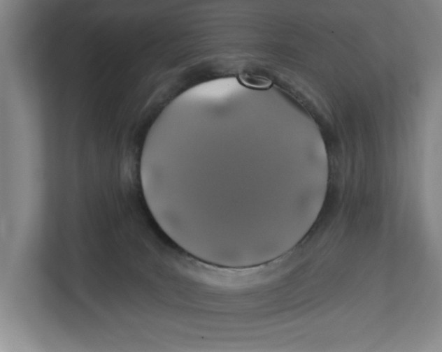 X0000112460035200909141107