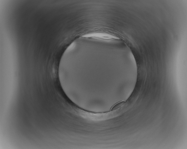X0000112460039200909141107