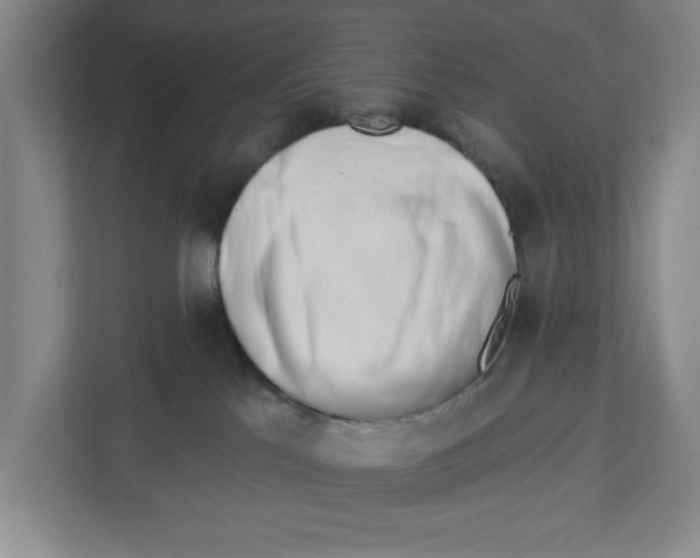 X0000112460041200909141107