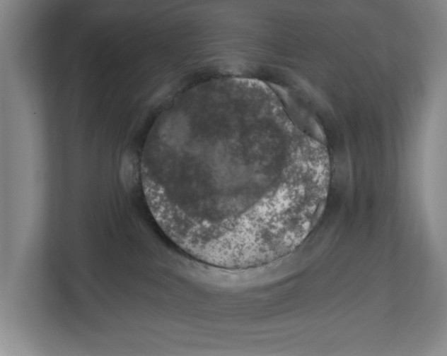 X0000112460043200909141107