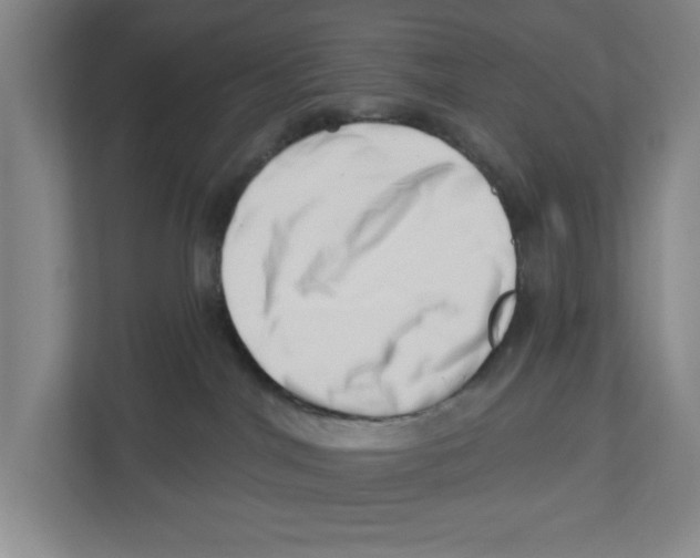 X0000112460044200909141107