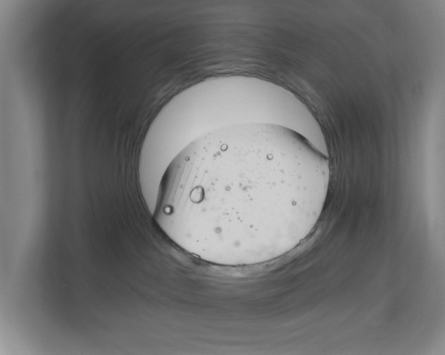 X0000112460045200909141107