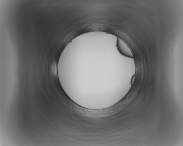 X0000112460046200909141107