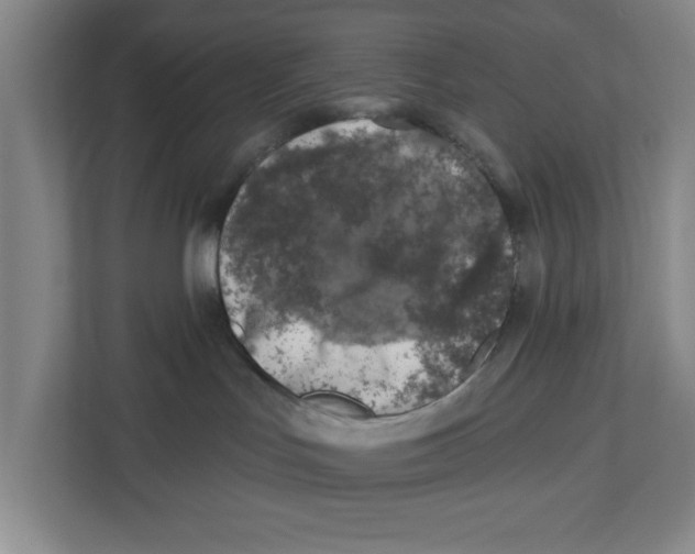 X0000112460047200909141107