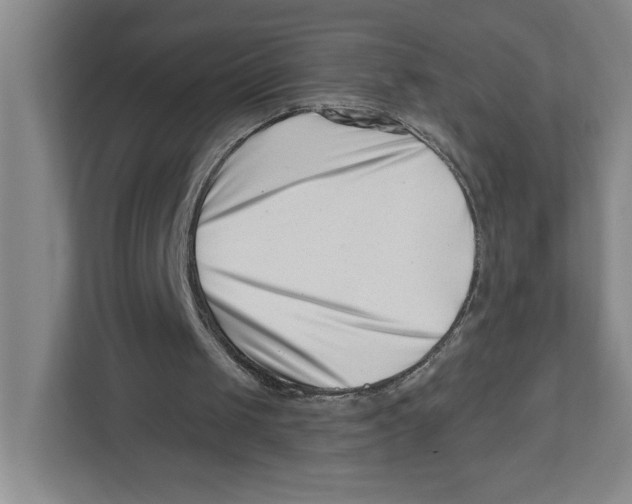 X0000112460049200909141106