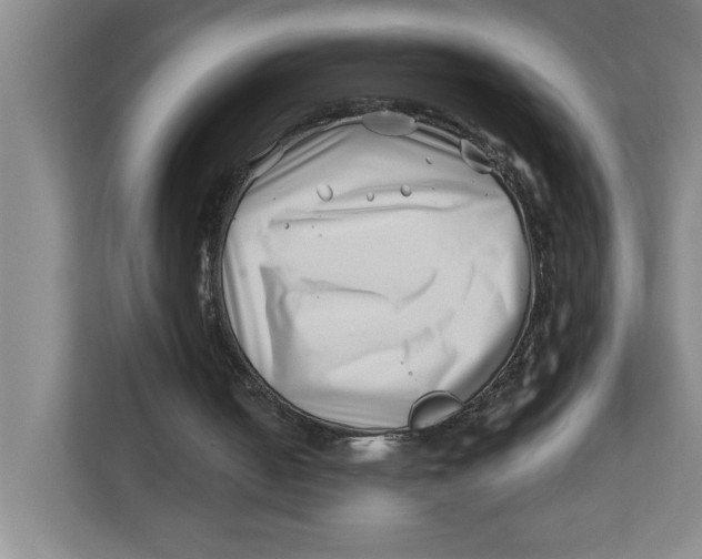 X0000112460050200909141106