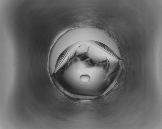 X0000112460052200909141106