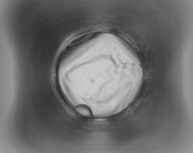 X0000112460053200909141106