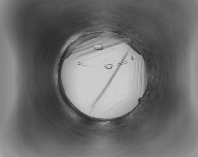 X0000112460054200909141106