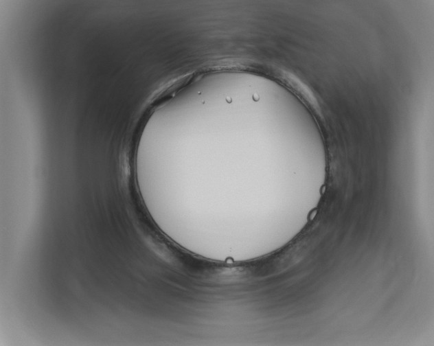 X0000112460059200909141106