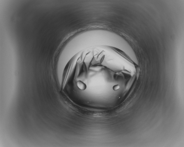 X0000112460064200909141106