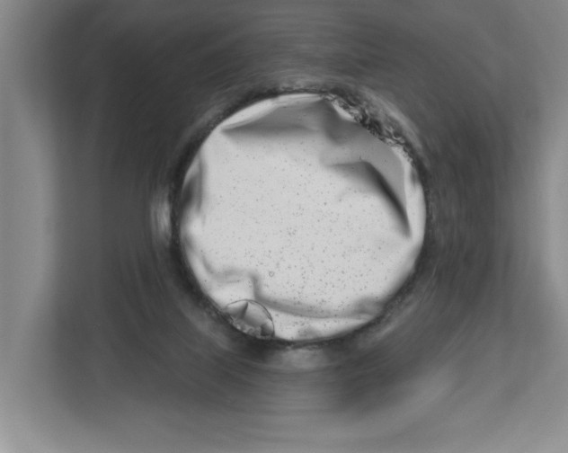 X0000112460067200909141106