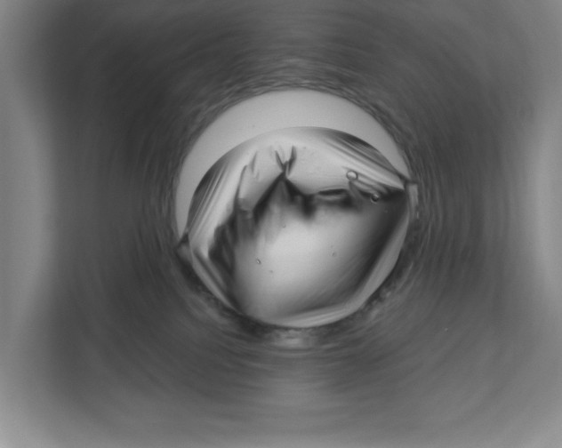 X0000112460088200909141107