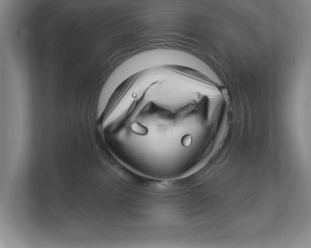 X0000112460092200909141107