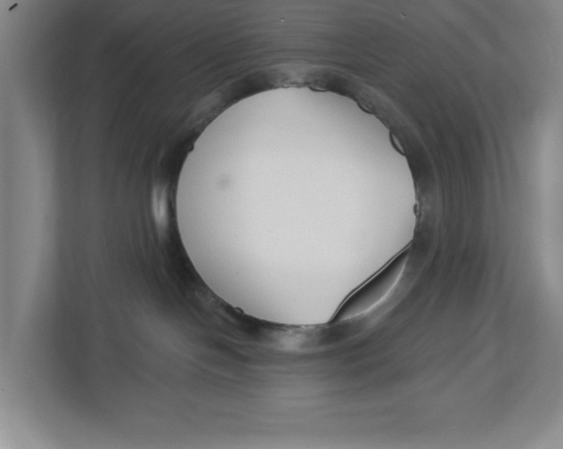 X0000112460094200909141107
