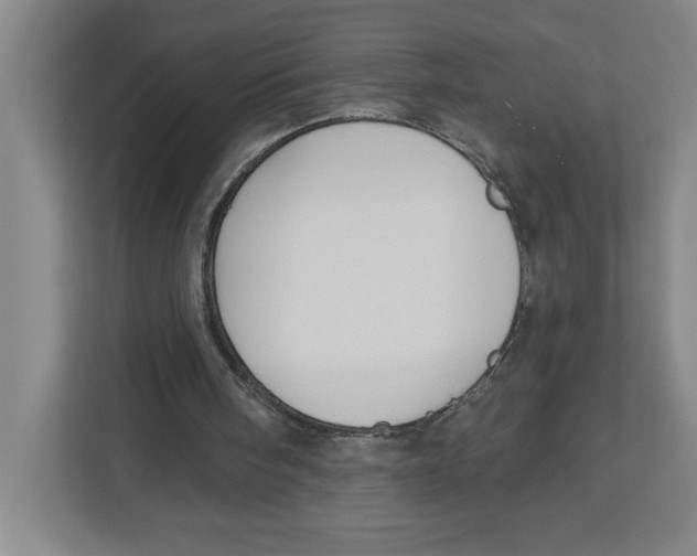 X0000112460098200909141106
