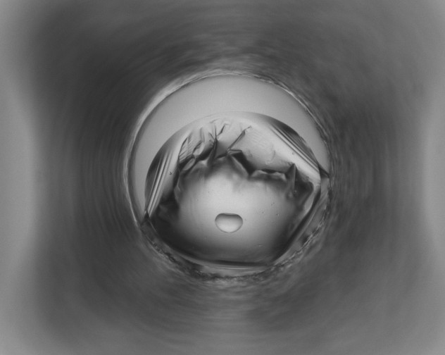 X0000112460100200909141106