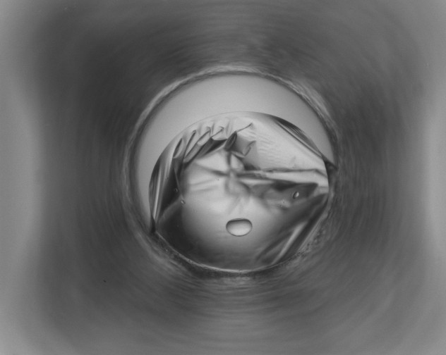 X0000112460108200909141106