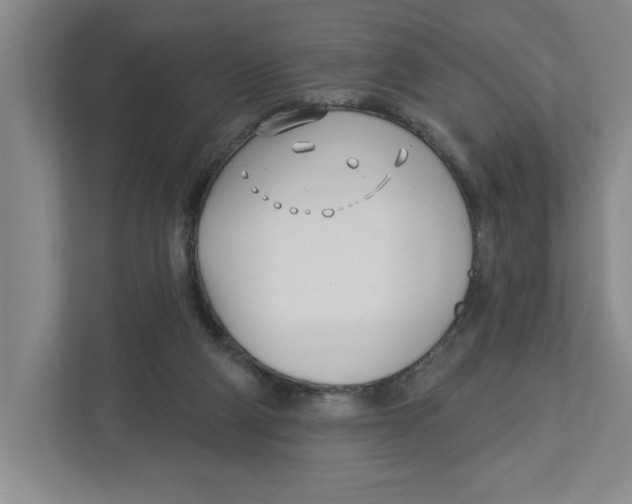 X0000112460114200909141106