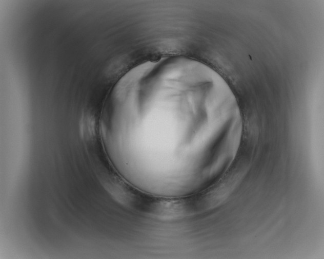 X0000112460117200909141106