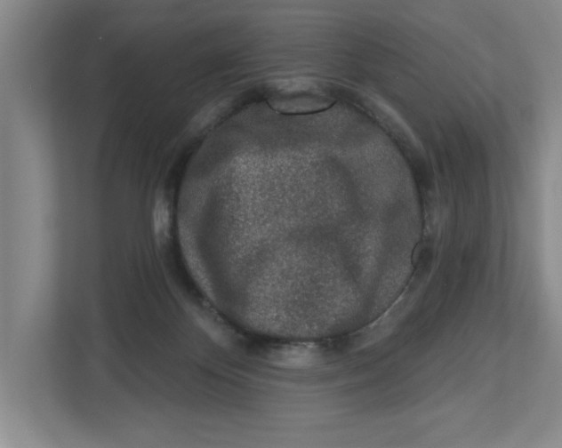 X0000112460124200909141106