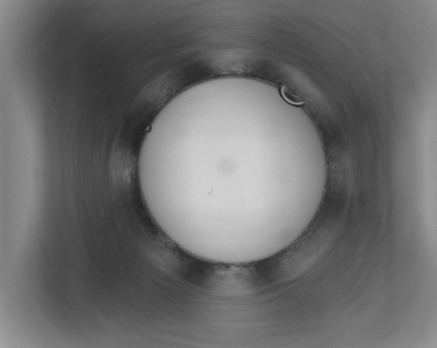 X0000112460125200909141106