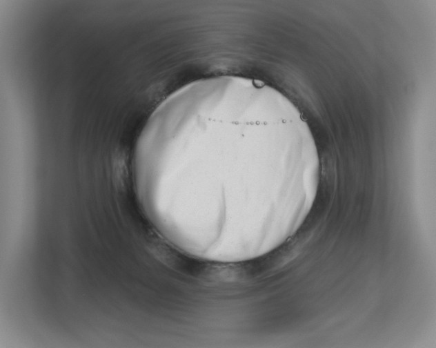 X0000112460127200909141106