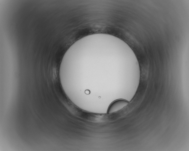 X0000112460130200909141106