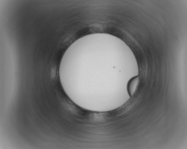 X0000112460134200909141106