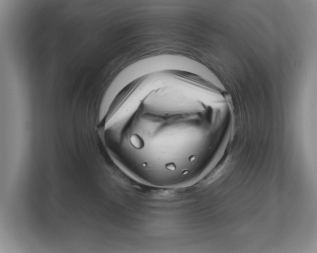 X0000112460140200909141106