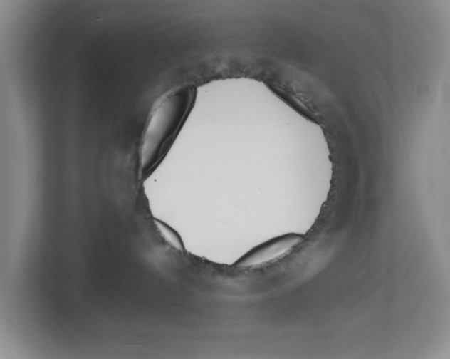 X0000112460144200909141106