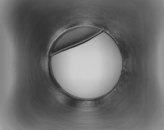 X0000112460152200909141105