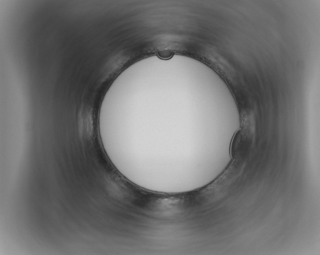 X0000112460158200909141105