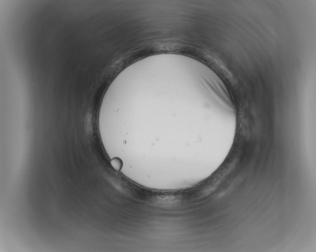X0000112460161200909141105